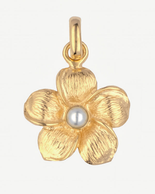 Frangipani bedel - Goud